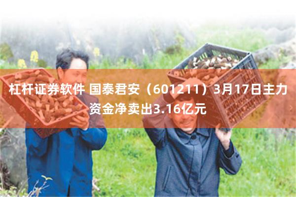 杠杆证券软件 国泰君安（601211）3月17日主力资金净卖出3.16亿元