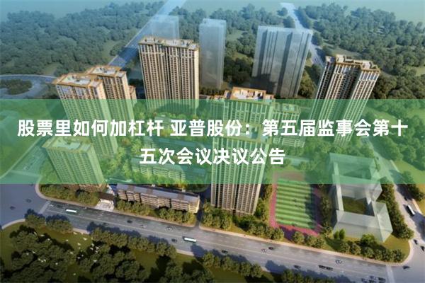 股票里如何加杠杆 亚普股份：第五届监事会第十五次会议决议公告