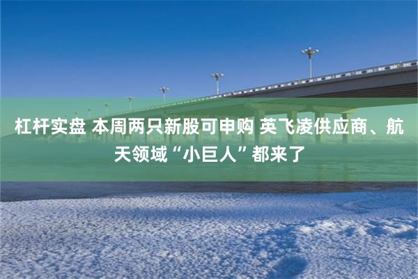 杠杆实盘 本周两只新股可申购 英飞凌供应商、航天领域“小巨人”都来了