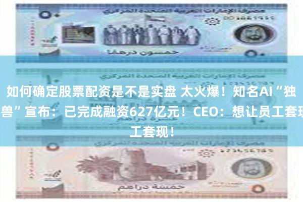 如何确定股票配资是不是实盘 太火爆！知名AI“独角兽”宣布：已完成融资627亿元！CEO：想让员工套现！