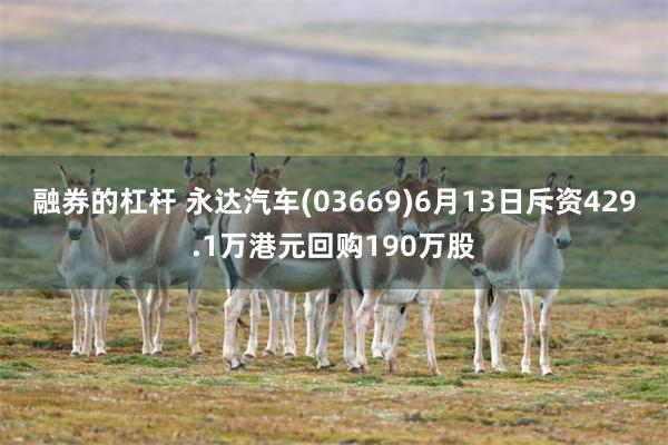 融券的杠杆 永达汽车(03669)6月13日斥资429.1万港元回购190万股
