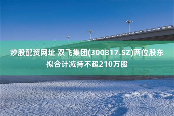 炒股配资网址 双飞集团(300817.SZ)两位股东拟合计减持不超210万股