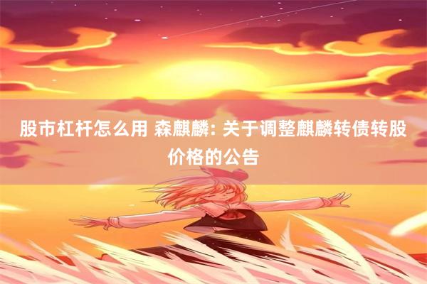 股市杠杆怎么用 森麒麟: 关于调整麒麟转债转股价格的公告