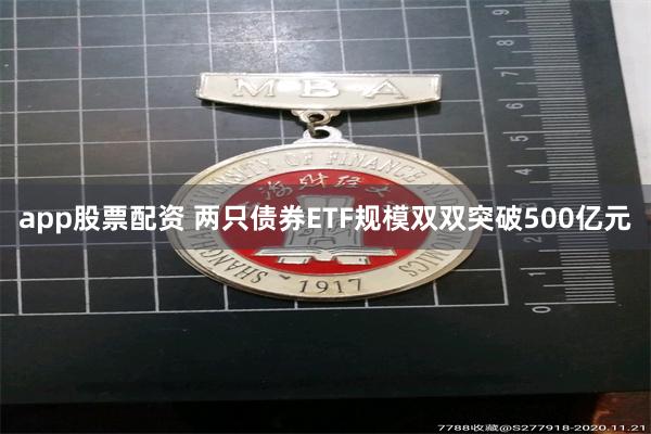 app股票配资 两只债券ETF规模双双突破500亿元