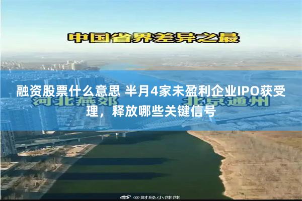 融资股票什么意思 半月4家未盈利企业IPO获受理，释放哪些关键信号