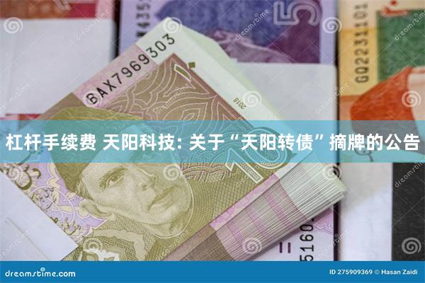 杠杆手续费 天阳科技: 关于“天阳转债”摘牌的公告