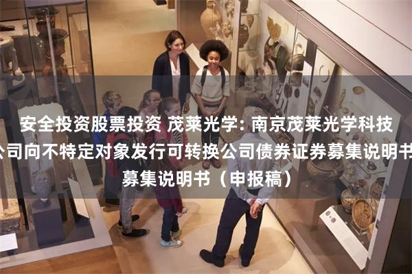 安全投资股票投资 茂莱光学: 南京茂莱光学科技股份有限公司向不特定对象发行可转换公司债券证券募集说明书（申报稿）