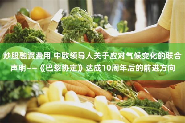 炒股融资费用 中欧领导人关于应对气候变化的联合声明——《巴黎协定》达成10周年后的前进方向
