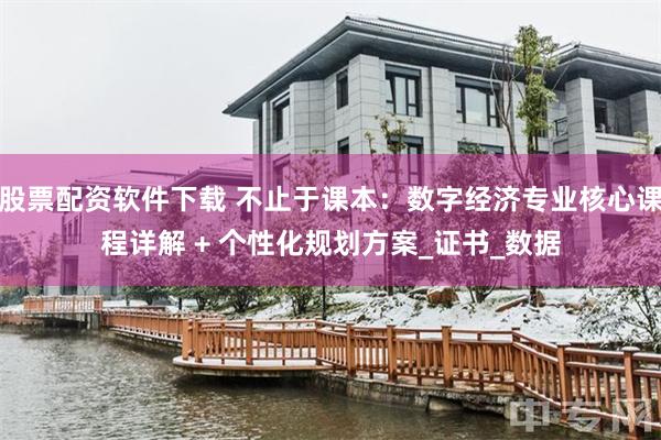 股票配资软件下载 不止于课本：数字经济专业核心课程详解 + 个性化规划方案_证书_数据