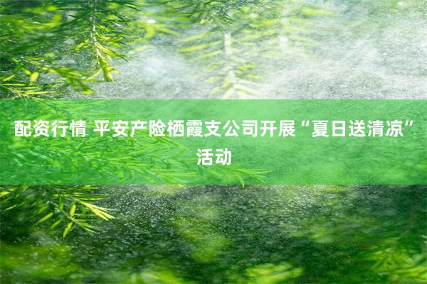 配资行情 平安产险栖霞支公司开展“夏日送清凉”活动