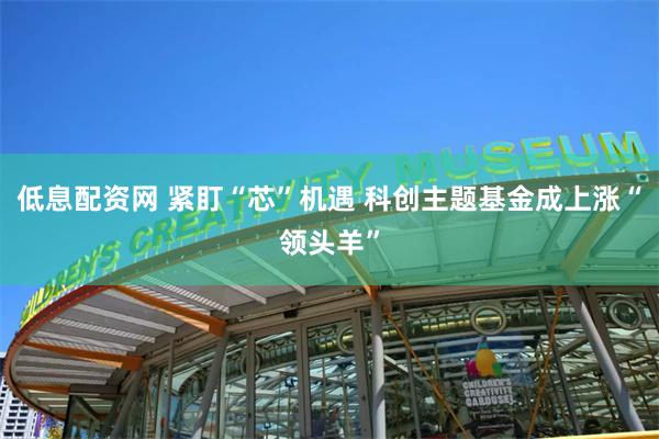 低息配资网 紧盯“芯”机遇 科创主题基金成上涨“领头羊”