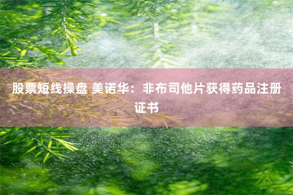 股票短线操盘 美诺华：非布司他片获得药品注册证书
